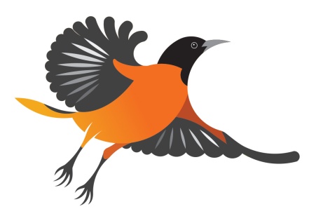 Oriole Lane: a local estate requested an illustration to brand the entrance to the property, choosing the bird namesake of their beautiful avenue.