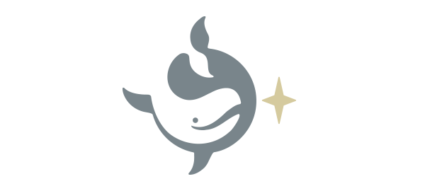 Award Winning Logo Design - North Star